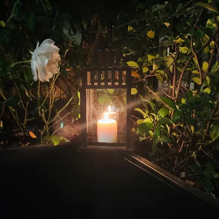 شقة Casa Terrazza Colosseo