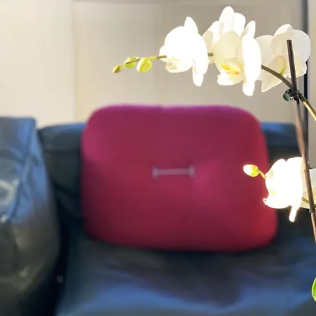 Casa Terrazza Colosseo דירה רומא