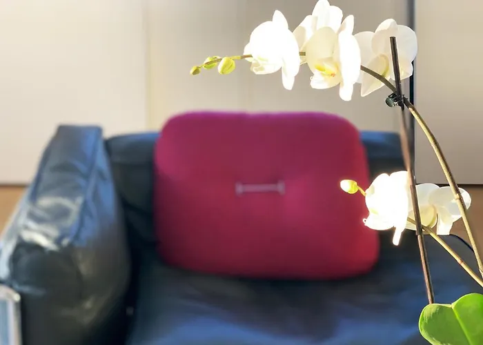 Casa Terrazza Colosseo Διαμέρισμα Ρώμη